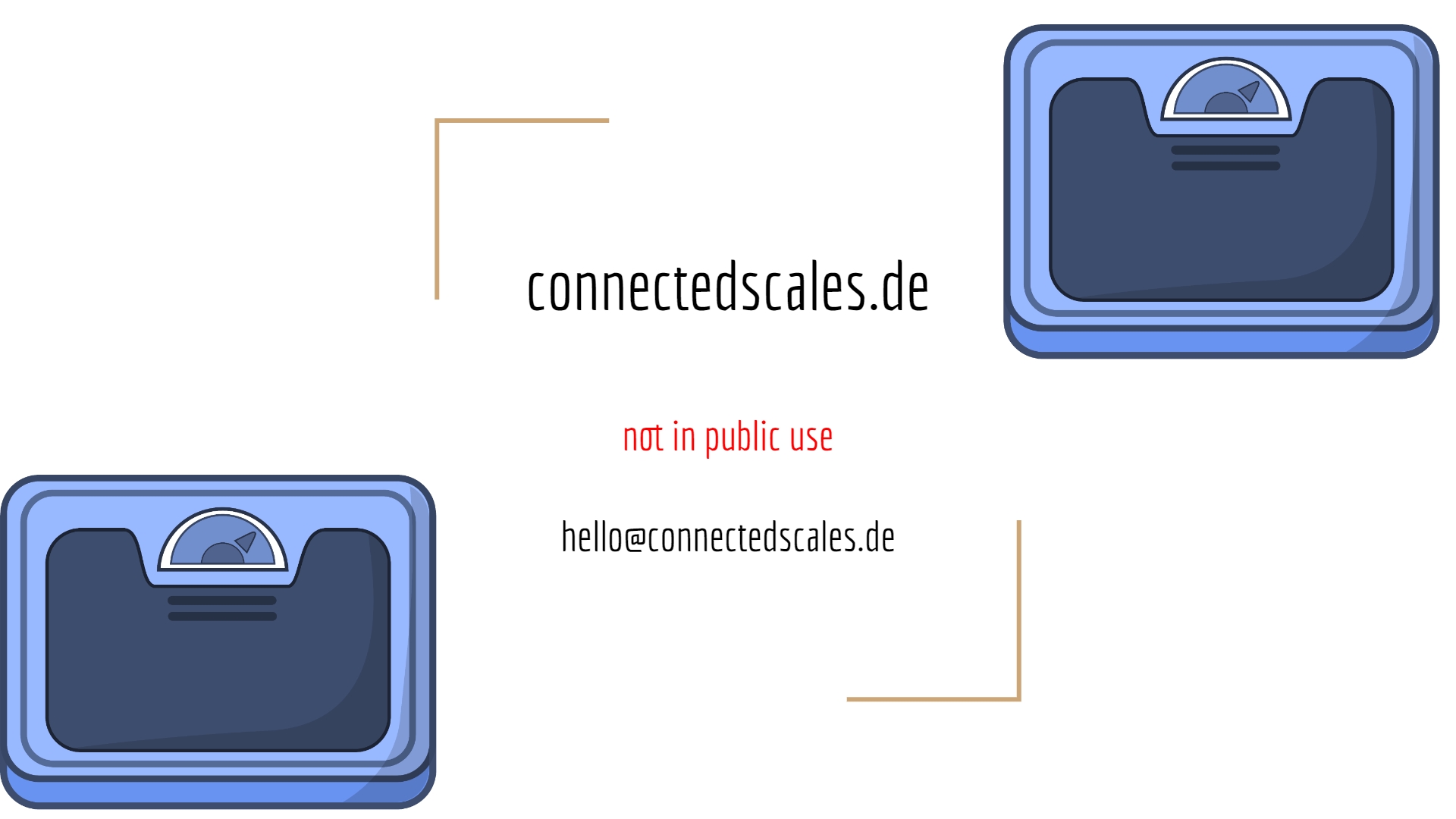 www.connectedscales.de